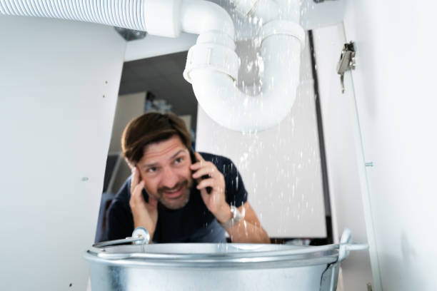 Best Clogged Drain Plumber  in Maumee, OH